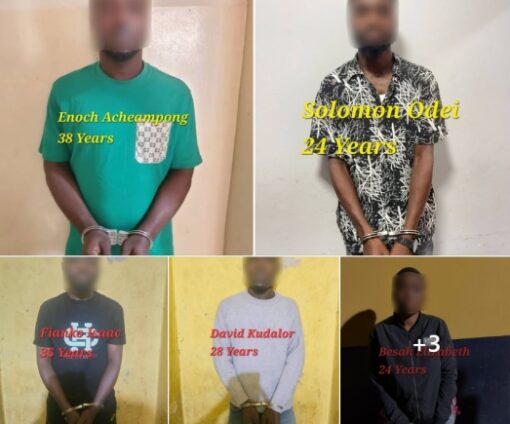vehicle theft syndicate
